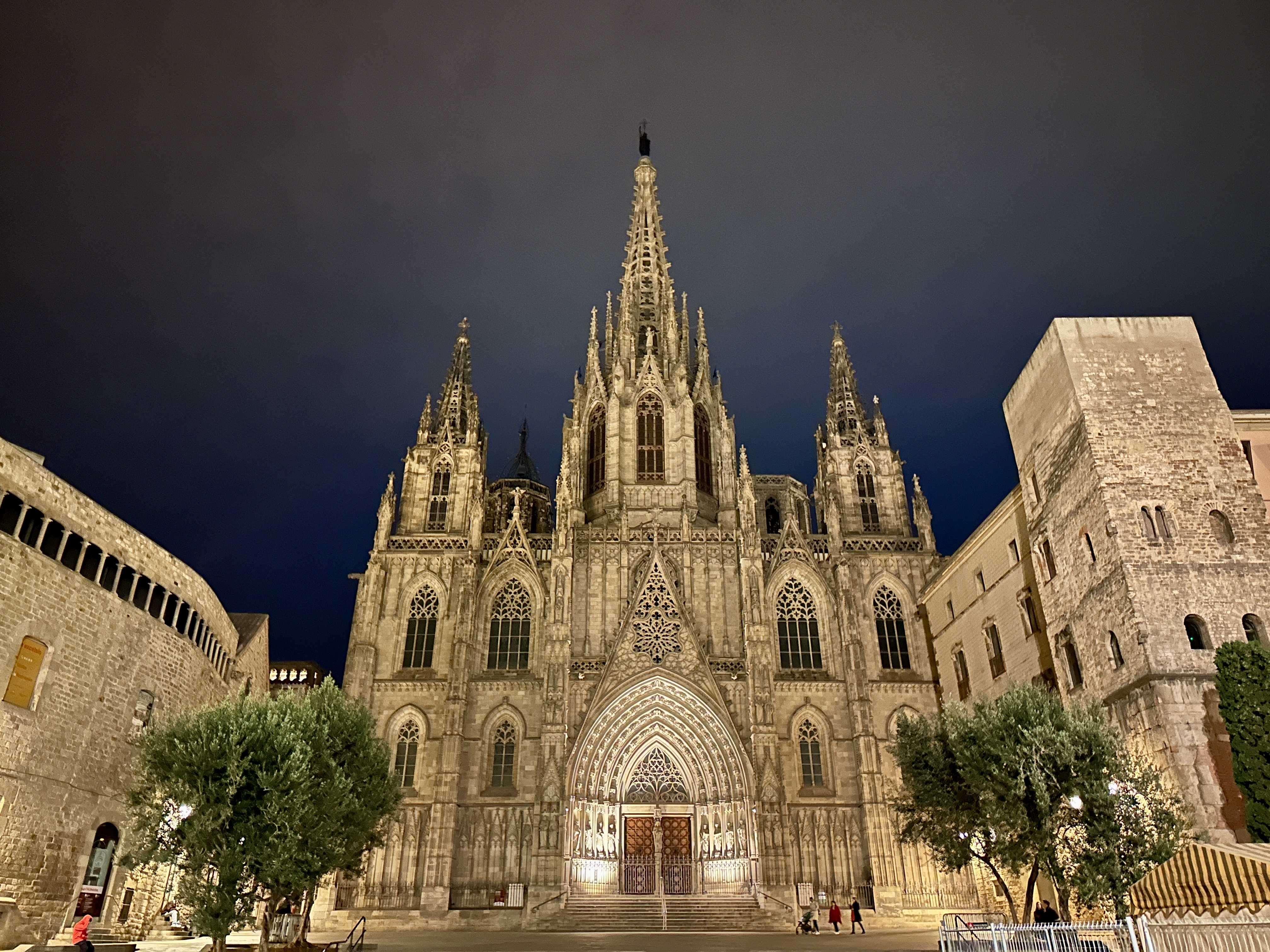 바르셀로나 대성당 야경