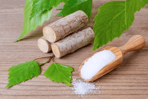 자일리톨효능06