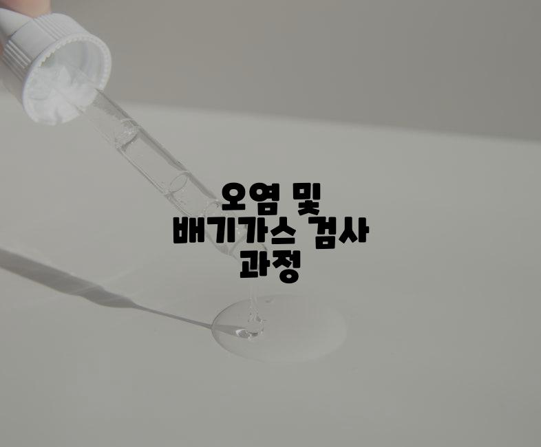 오염 및 배기가스 검사 과정