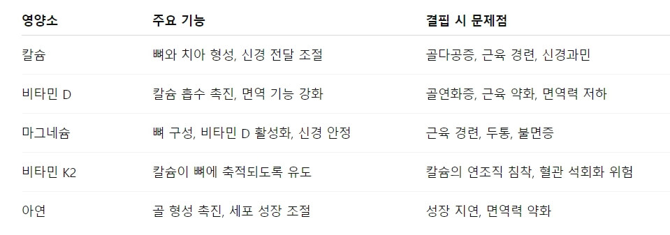 칼슘만 챙기면 오히려 뼈가 약해지는 이유