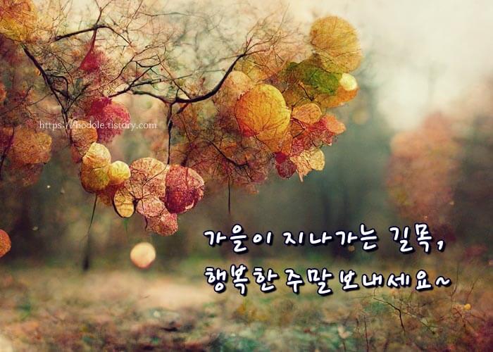 가을이지나가는길목