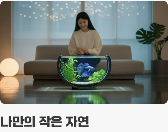 '나만의 왕국', 작은 공간의 미학