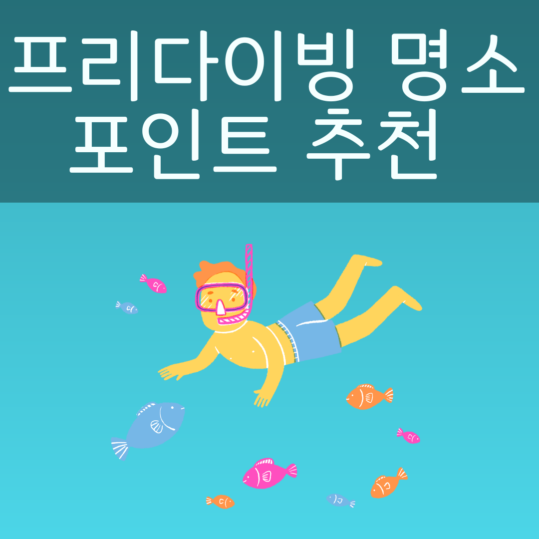 국내 프리다이빙 명소 포인트 추천 사진