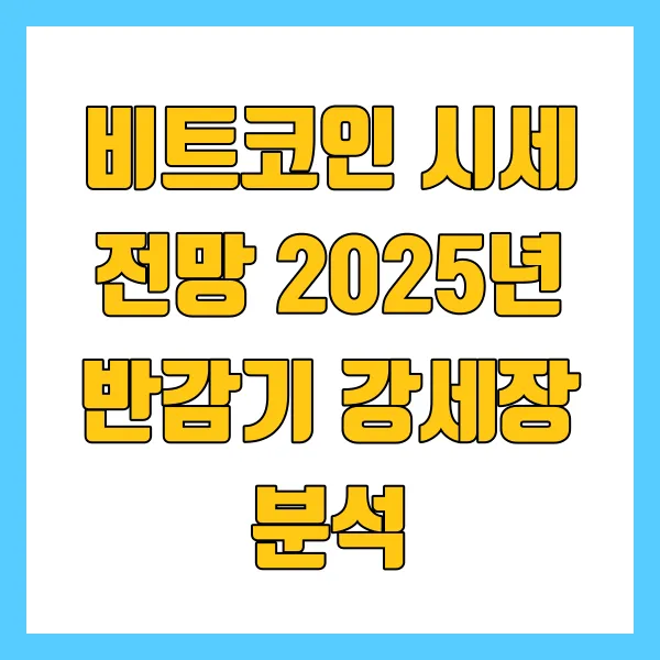 비트코인시세전망