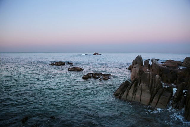 동해산타열차