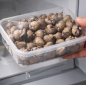 꼬막 해감 쉽게 하는 법