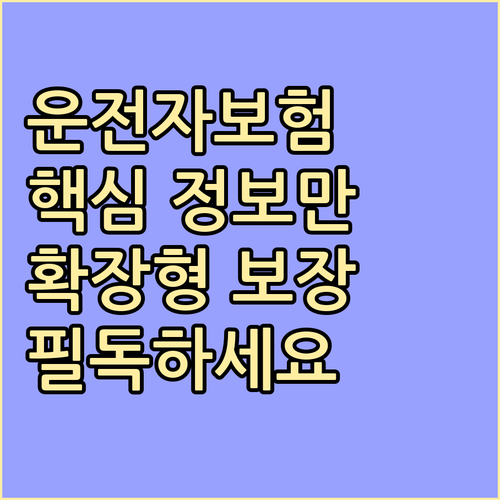 운전자 필독, 확장형 운전자보험 핵심..
