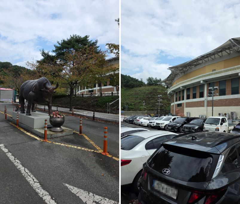 청도 소싸움 경기장