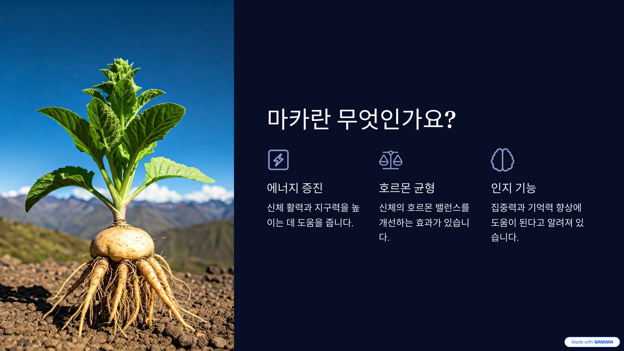 마카효능과 부작용