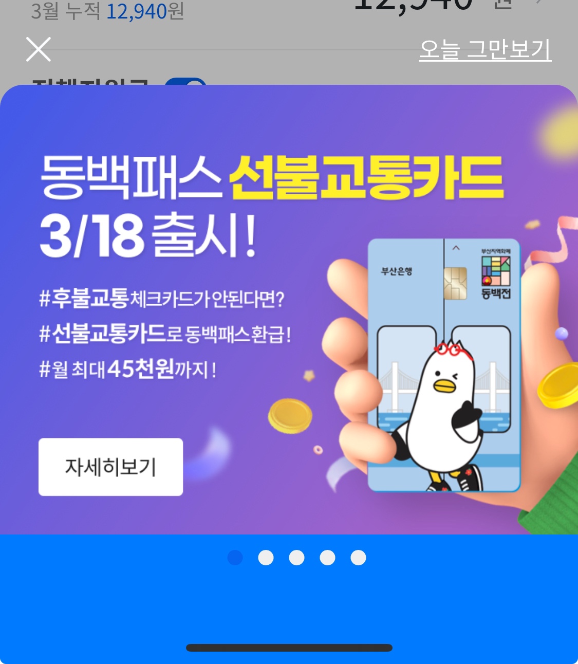 동백패스