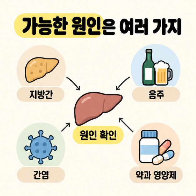 지방간, 음주, 간염, 약과 영양제의 그림과 레이블을 중앙의 간 삽화 및 원인 확인 문구로 연결한 그림