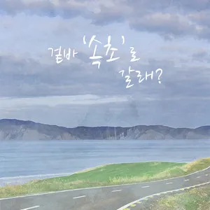 속초 바람 방향 영금정 산책 계단 휴식 포인트 소개_4