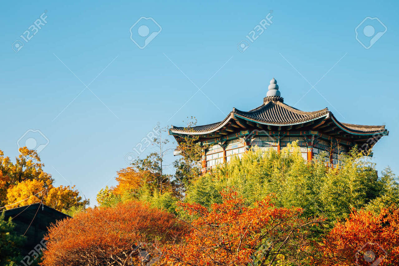 서울 어린이대공원 단풍