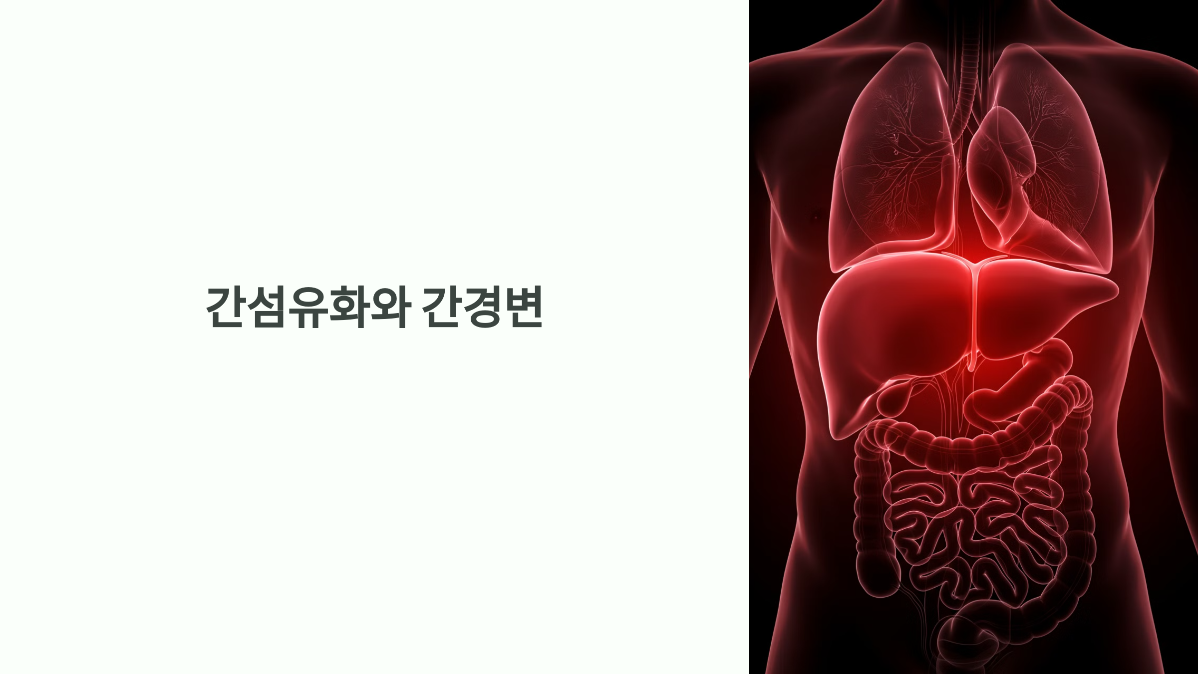 간섬유화와 간경변