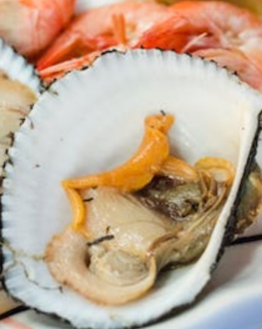 12월 제철 해산물