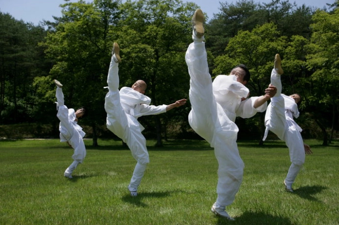 택견의 독특한 움직임들