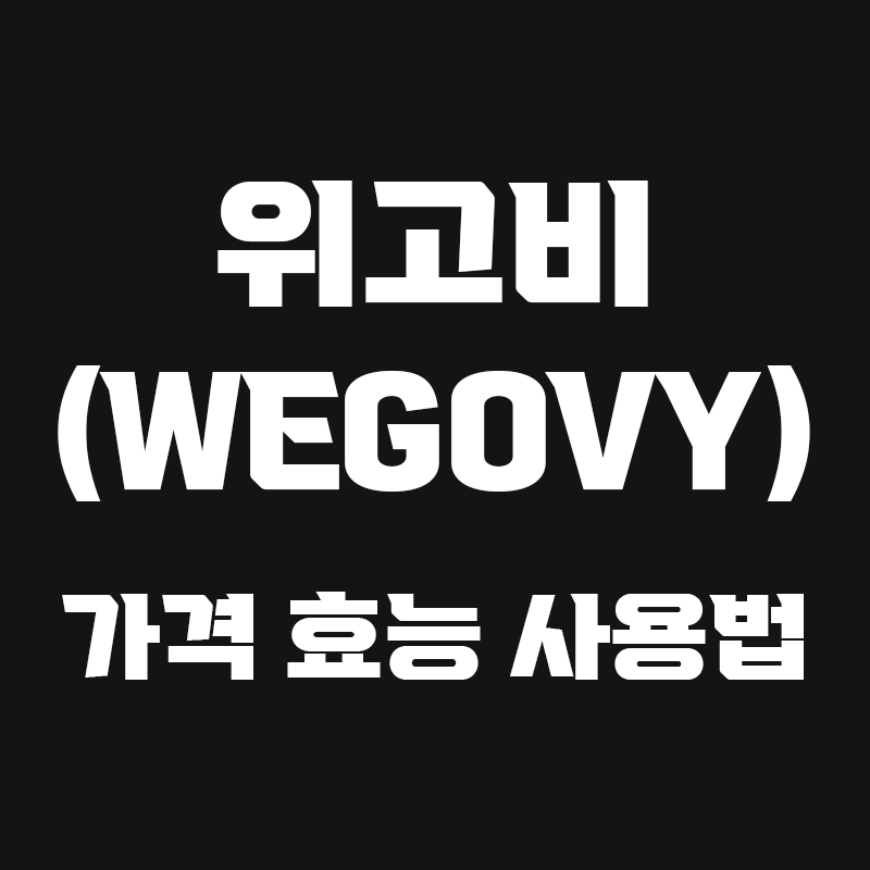 검정색 배경에 위고비 가격 효능 사용법이 흰색으로 적힌 썸네일