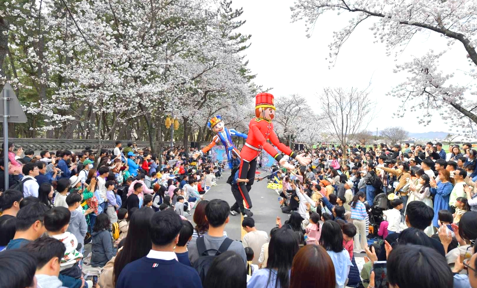 경주 대릉원 돌담길 벚꽃축제