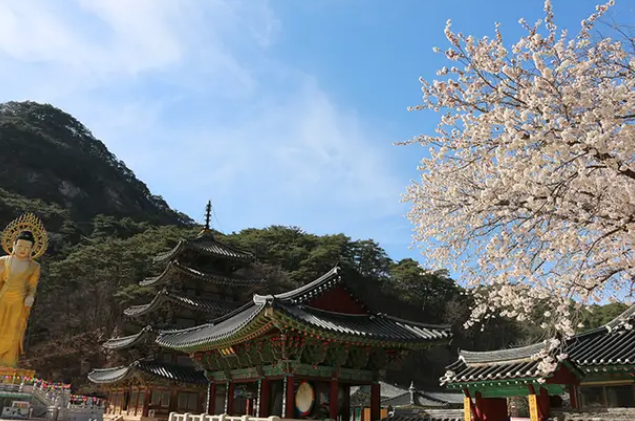 속리산 법주사 역사 유네스코 등재