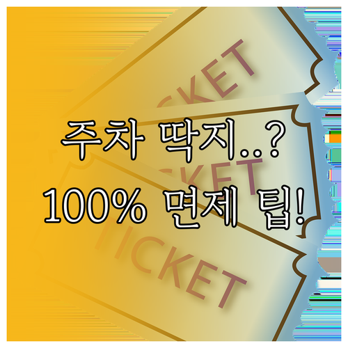 주정차 과태료 이의신청: 의견진술 제..