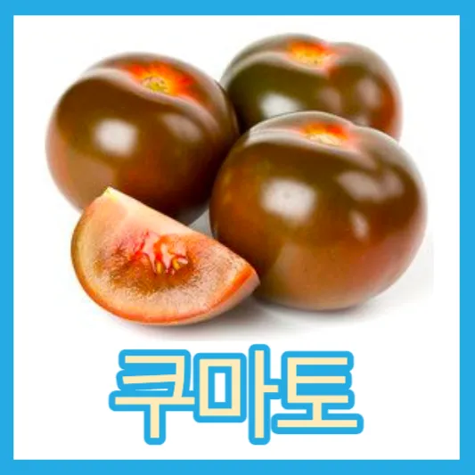 쿠마토 흑토마토