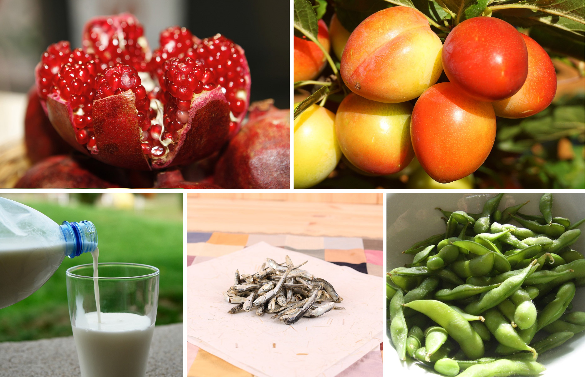 갱년기추천음식2