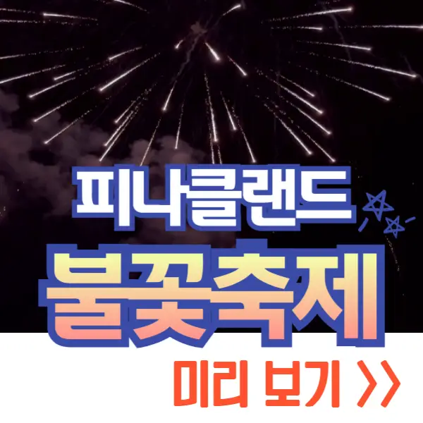 피나클랜드 불꽃축제