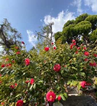 서천주꾸미축제