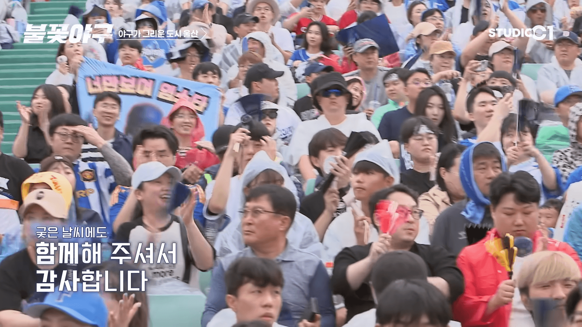 불꽃야구 생중계