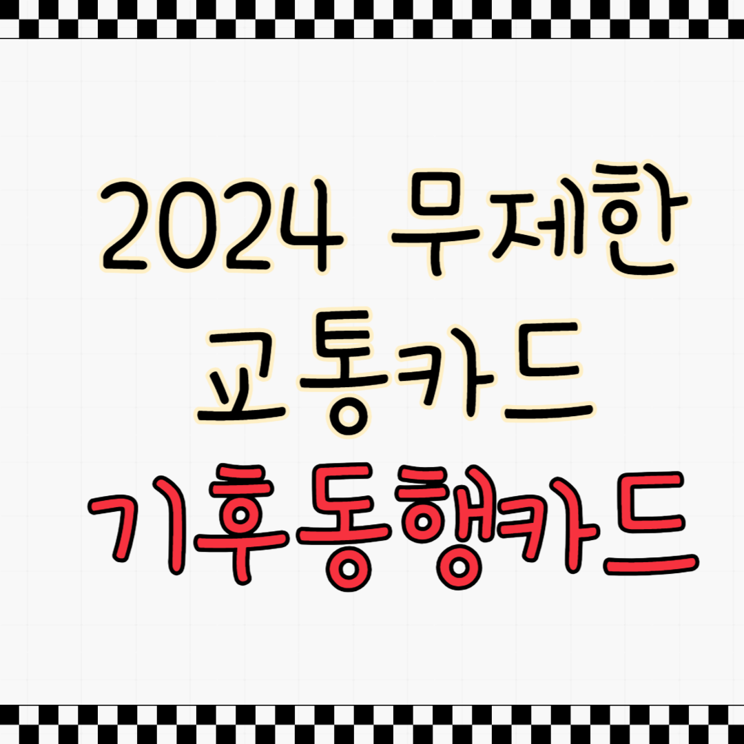 무제한교통카드