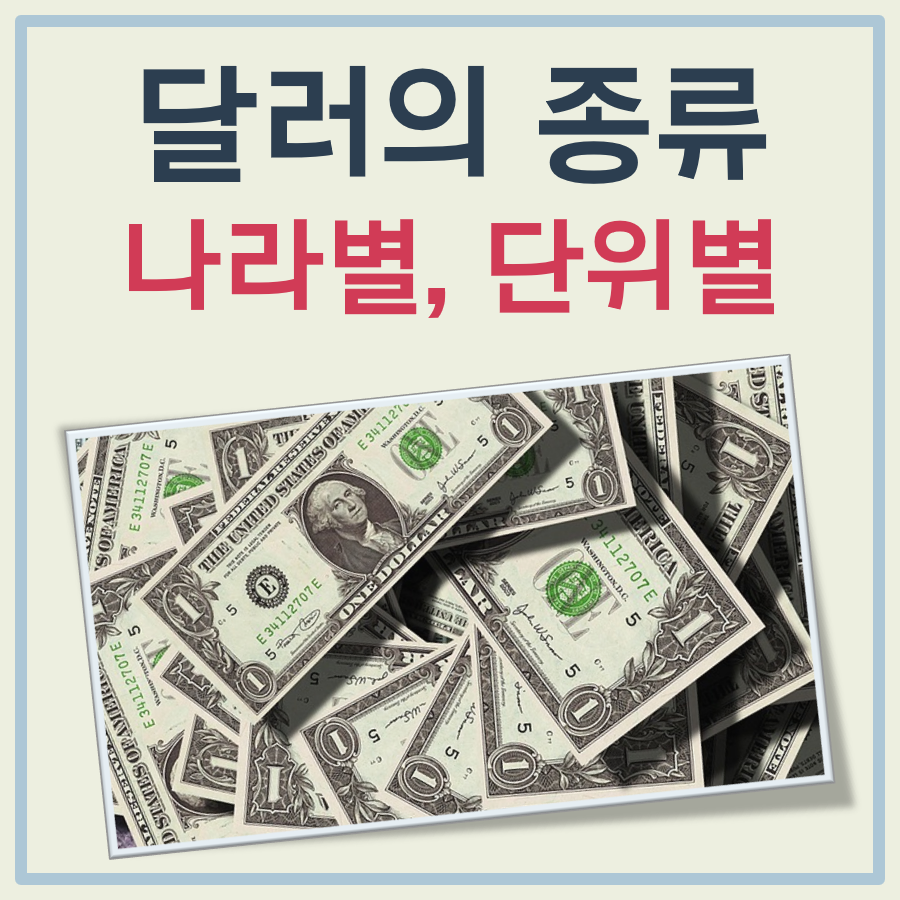 달러 종류 나라별 단위별 정리 대표 이미지