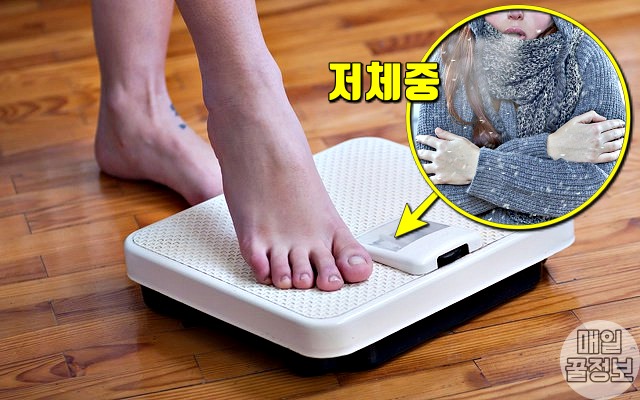 집에서 패딩 입고 근육 저체중,추위 많이 타는 사람