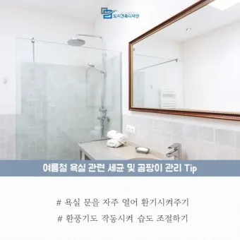 여름철 욕실 세균 곰팡이 청소 끝 관리법과 예방 팁 완벽 위생 가이드_18