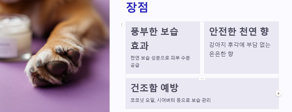 장점