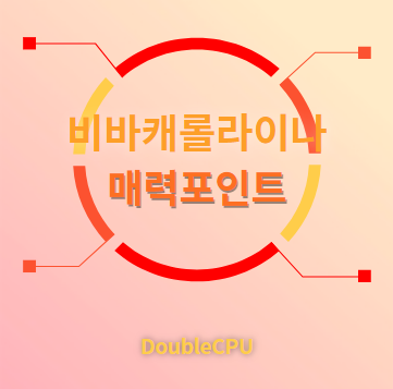 비바캐롤라이나 매력포인트