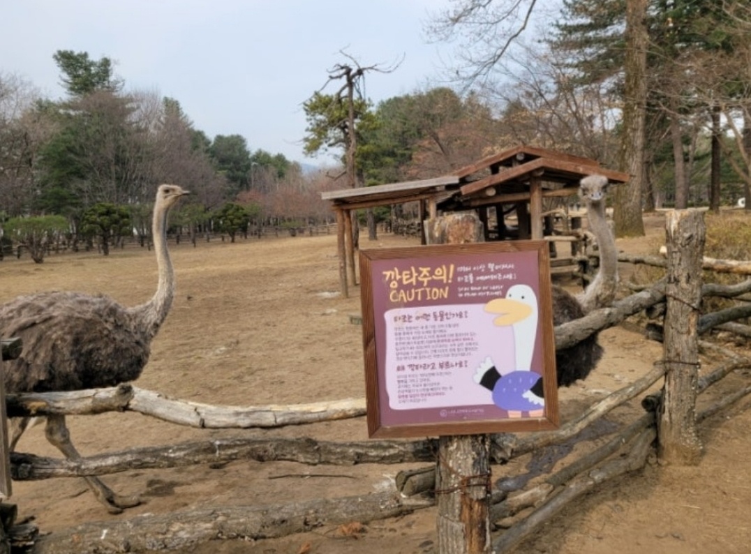 남이섬 깡타의 집 이미지