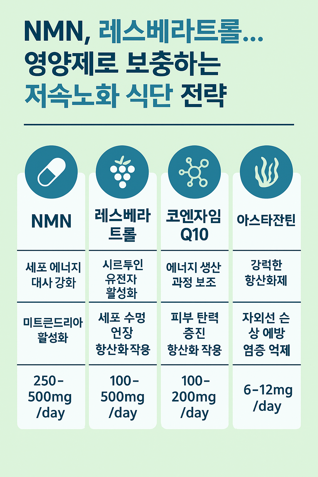 저속노화 영양제