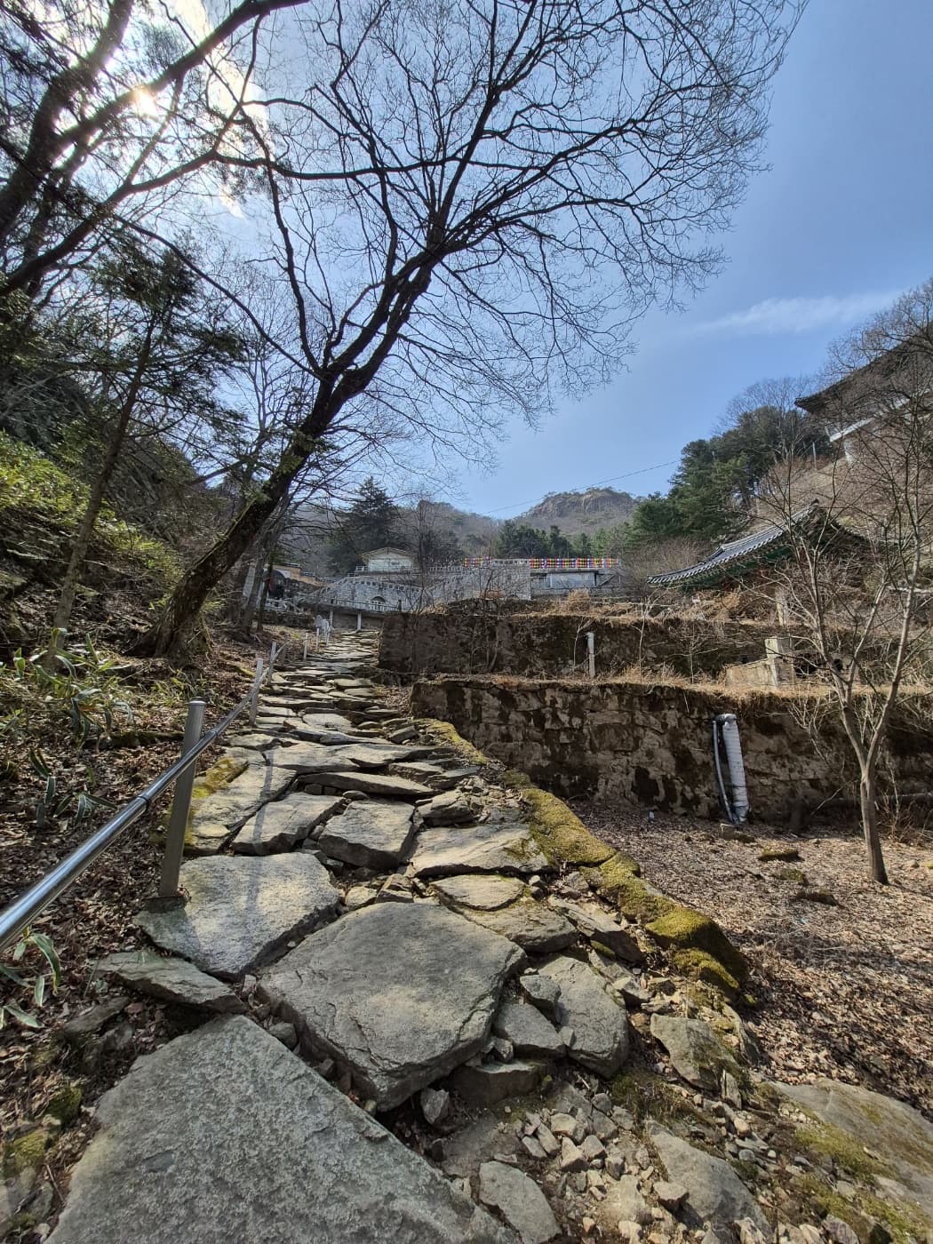 금산 태고사