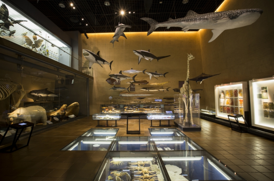 기타큐슈 지역 ❘ 주요 여행지 - 기타큐슈 생명과학관