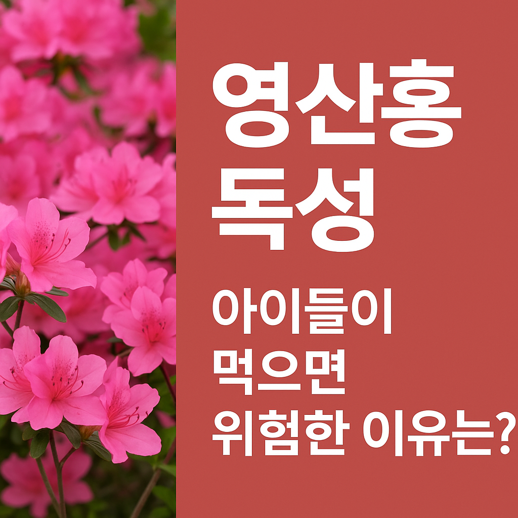 영산홍이미지와 영산홍독성이라는 글자가 있는 이미지