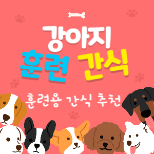 강아지 간식