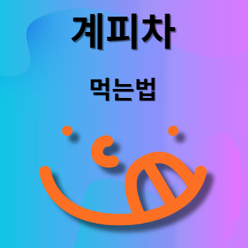 계피차 먹는법