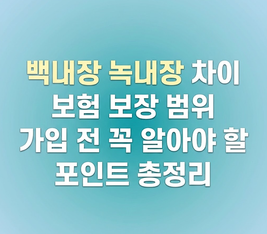 백내장 녹내장 차이