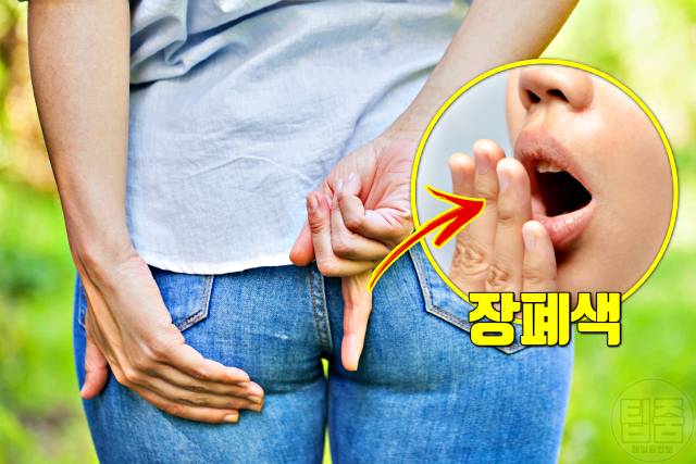입냄새로 알아보는 건강 입냄새 똥냄새 장폐색