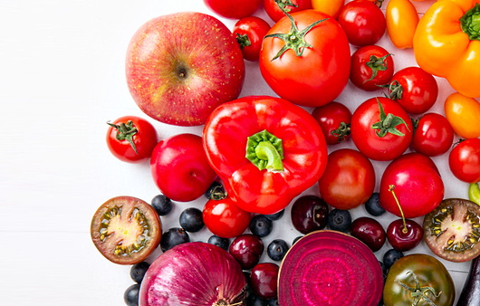 케르세틴-면역력 강화-운동능력 향상