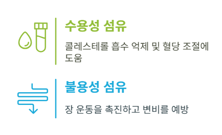 식이섬유의 건강상의 이점