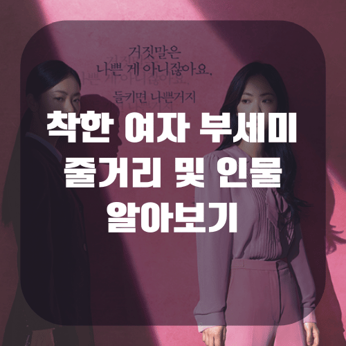 착한 여자 부세미 등장인물 인물관계도 줄거리