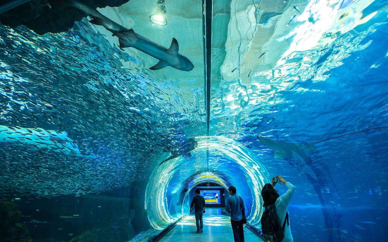 아쿠아플라넷제주