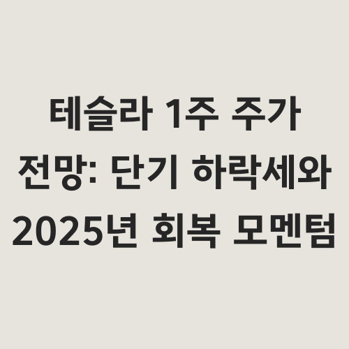 최근 급락한 테슬라 주가에 대한 심층 분석과 함께
2025년 회복 가능성에 대한 전망을 제시합니다.
일론 머스크의 '매수 기회' 발언의 진정한 의미와
향후 투자 전략에 대한 명확한 가이드라인을 제공합니다.
"테슬라 주가, 정말 반등할 수 있을까?"
"지금이 정말 매수 타이밍일까?"