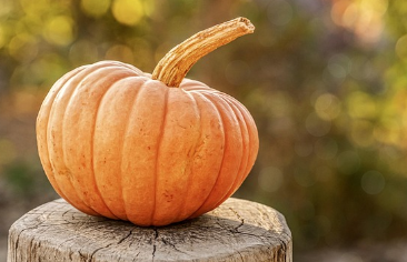 9월 제철 음식, 9월 제철 해산물